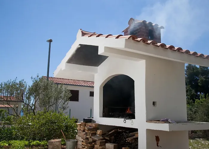 Medvid * 트로기르