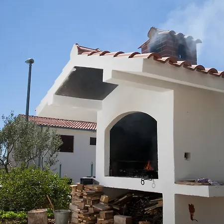 Medvid * تروغير